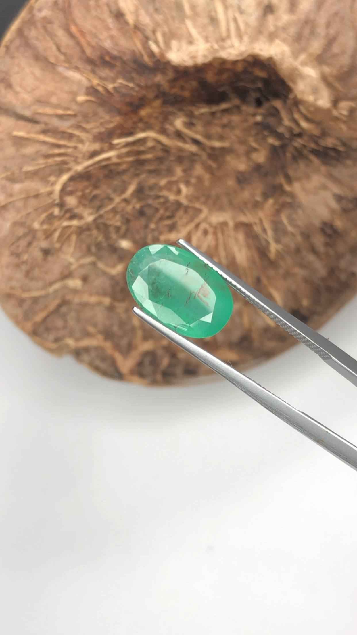 (2.95ct) Natural Zambian Emerald - Kafubu Mine Origin - Vivid Green - Minor Oil Only (WAV57)