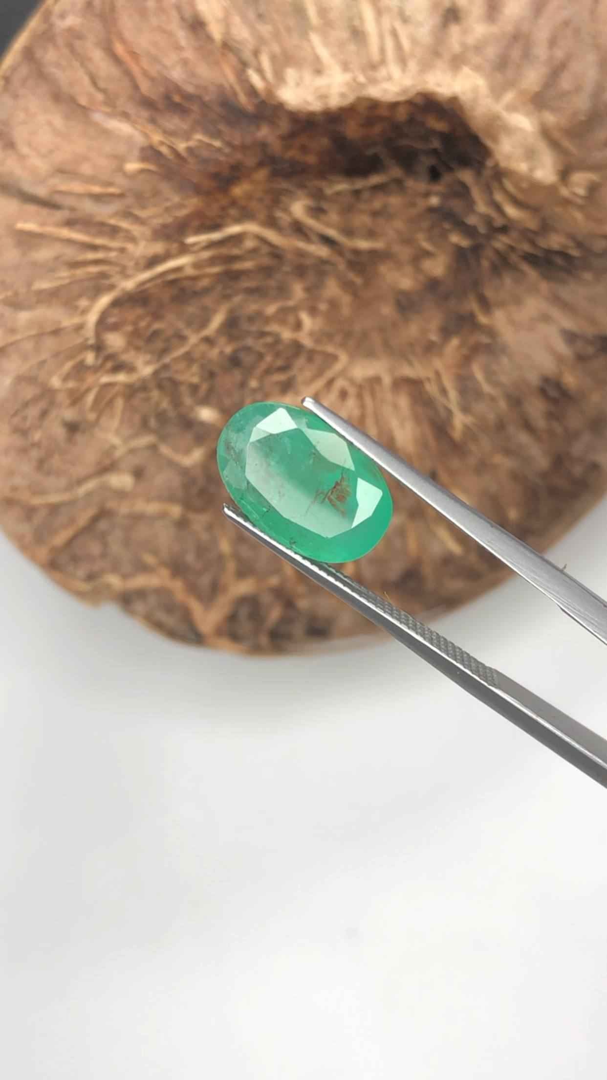 (2.95ct) Natural Zambian Emerald - Kafubu Mine Origin - Vivid Green - Minor Oil Only (WAV57)