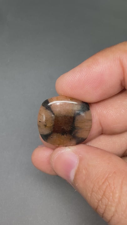 Natural Chiastolite (21.07 CT) (WAV14)