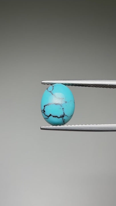(1.77ct) Natural Egyptian Turquoise - Rare Sinai Peninsula Source - Untreated Oval Cabochon (WAV36)